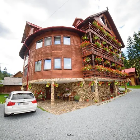 Casa Binu-3